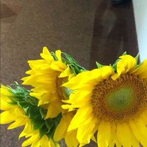 Meet your Posher, Joelian